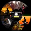 Portable Mini High Power Led Headlamp