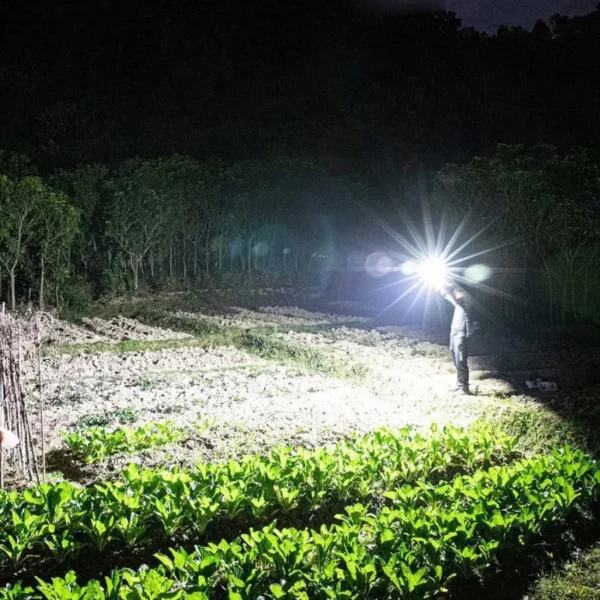 Multifunctional LED Torch Light